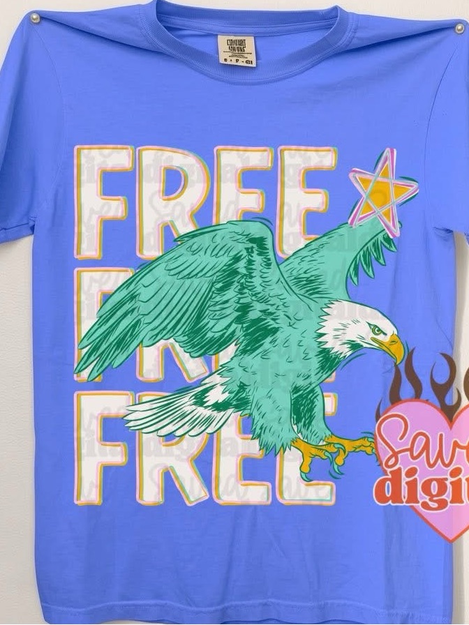 2 Patriotic Comfort Colors Graphic Tshirts Small-2x